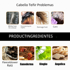 Disaar Aloe Argan Oil Nourishing Hair Dye Shampoo