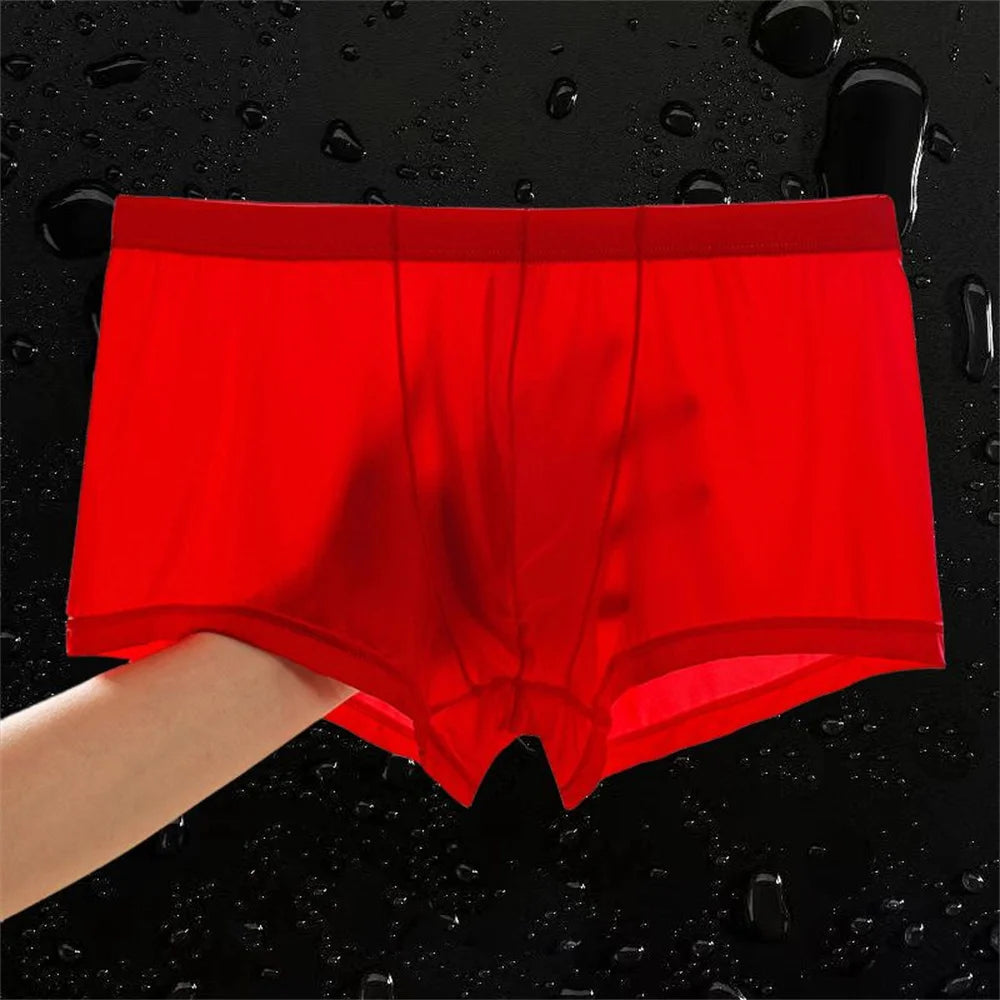 Ultra Thin Ice Silk Boxers Underwear Men Semi-transparent Seamless Sexy Male Trunk Shorts Plus Size M-XXL