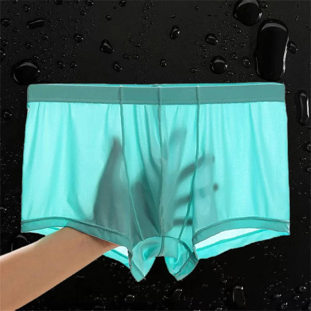 Ultra Thin Ice Silk Boxers Underwear Men Semi-transparent Seamless Sexy Male Trunk Shorts Plus Size M-XXL