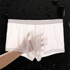 Ultra Thin Ice Silk Boxers Underwear Men Semi-transparent Seamless Sexy Male Trunk Shorts Plus Size M-XXL